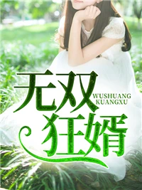 無雙狂婿 封面