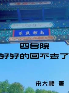 四合院好好的回不去了 封面