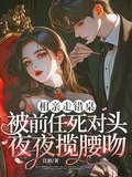 相親走錯桌,被前任死對頭夜夜攬腰吻 封面