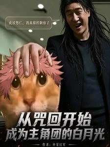 從咒回開始成為主角團的白月光 封面